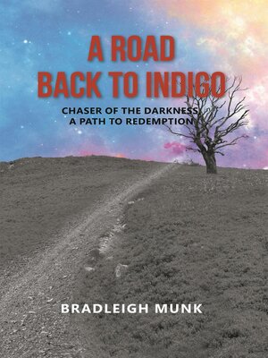 cover image of A Road Back to Indigo